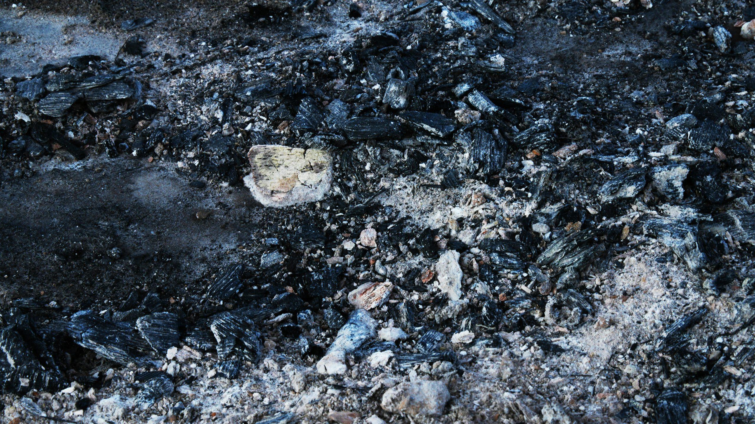 legal requirements burying ashes