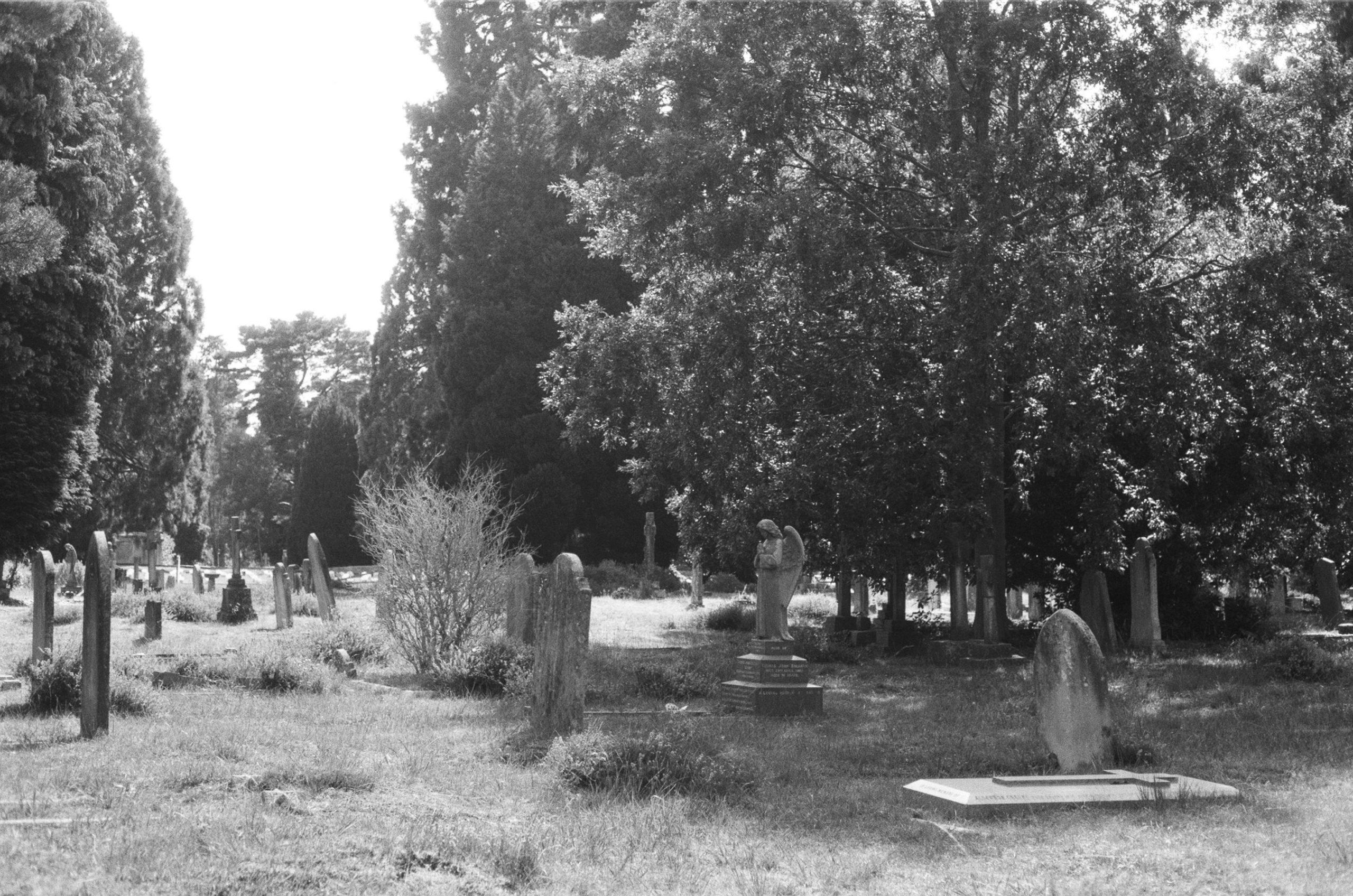 burying ashes in cemetery