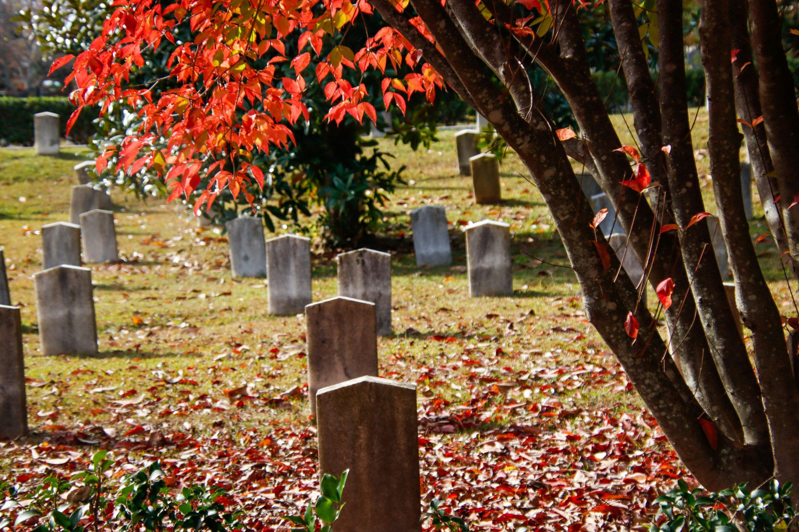 comparing cemetery prices