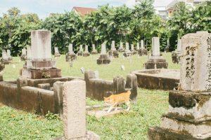 Comparing Grave Plot Prices: Finding the Best Deals