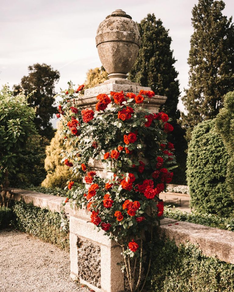 Crafting an Urn Garden: A Beautiful Final Resting Spot