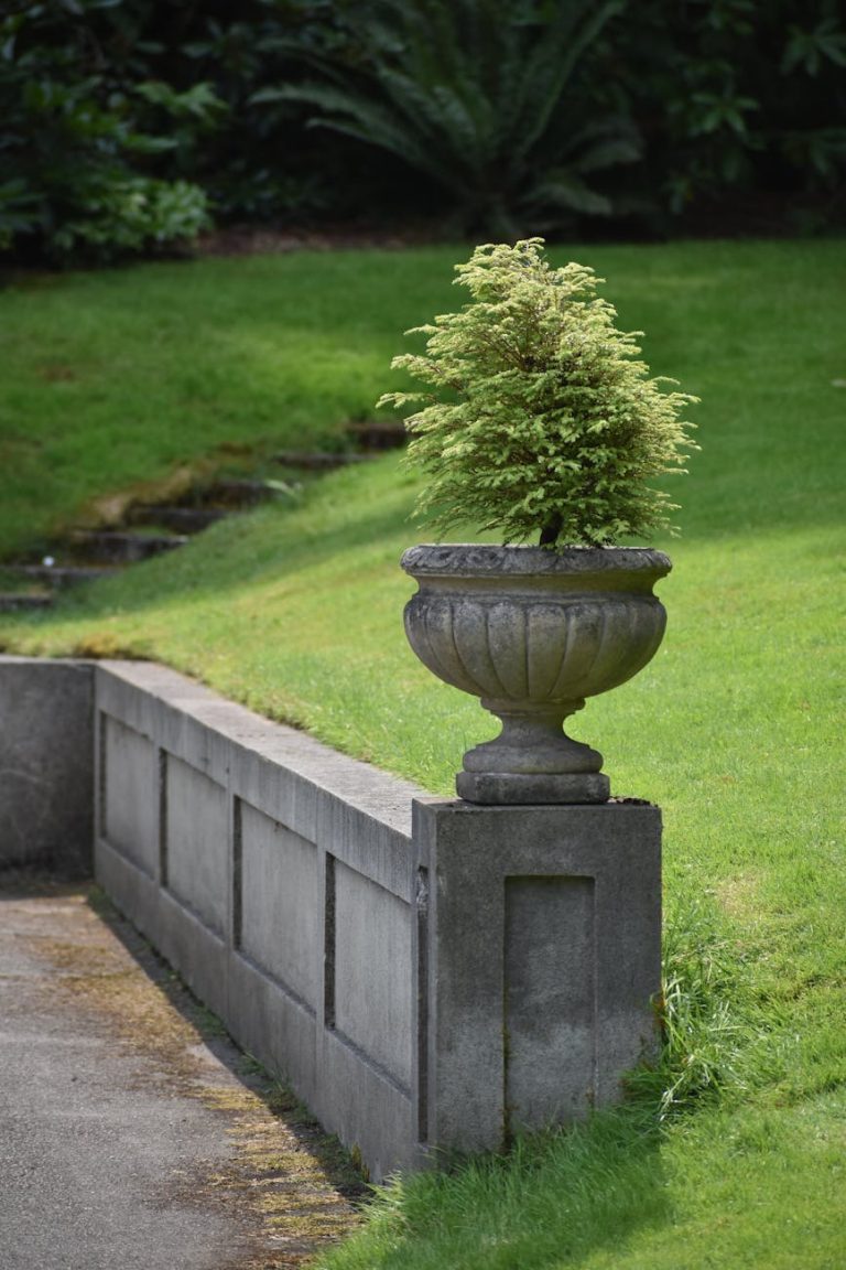 Creating a Beautiful Urn Garden: Ideas and Inspiration
