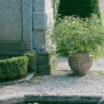 Creating a Peaceful Urn Garden: Tips for Families