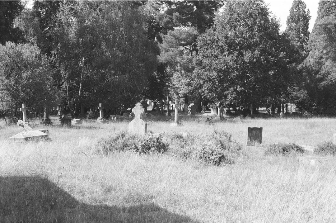 Everything You Need to Know About Burying Ashes in a Cemetery