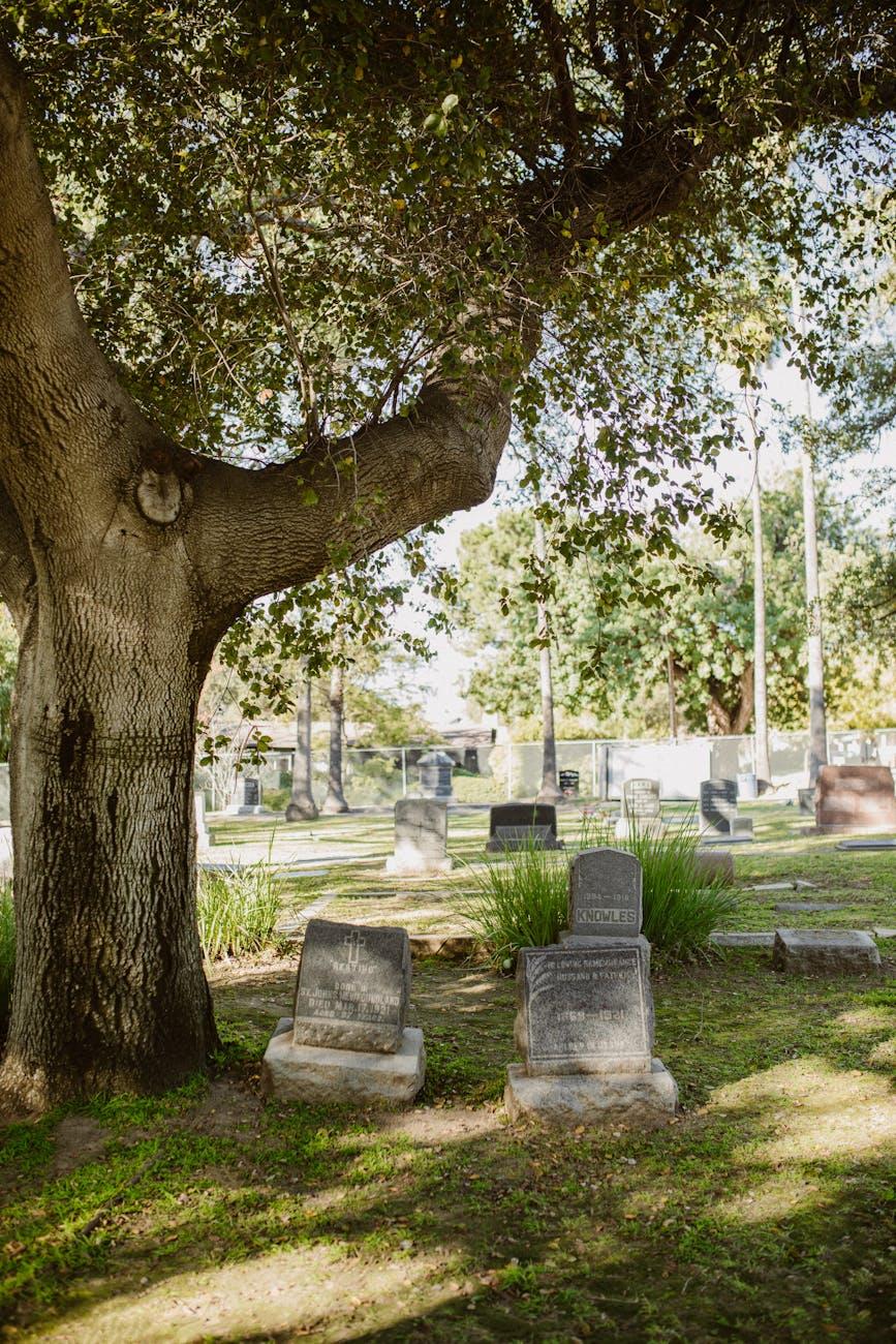 Grave Plot Prices: How to Budget for Your Final Resting Place