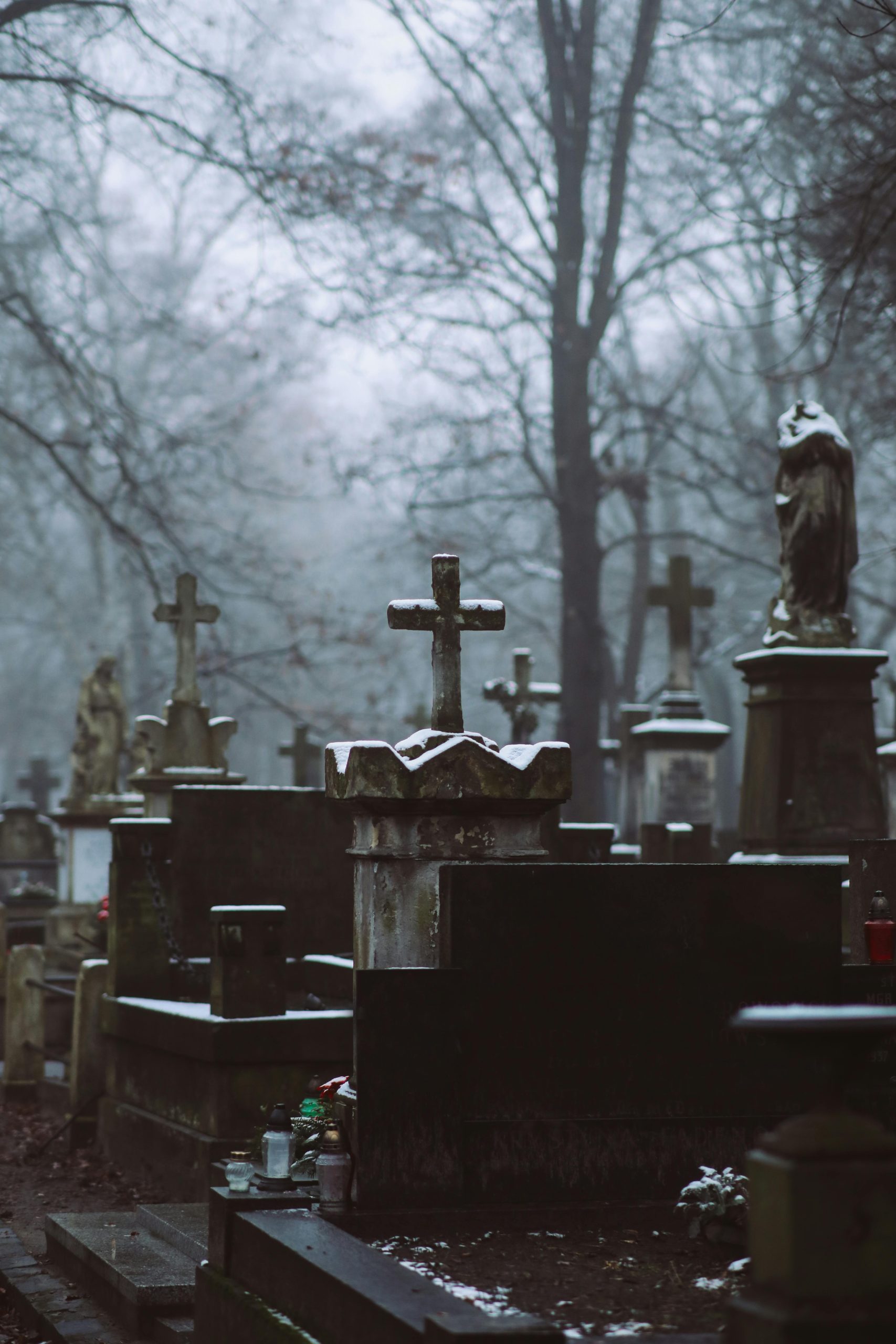 funeral plots cost funeral plots cost