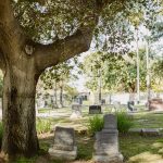 How to Save on Funeral Plots Cost