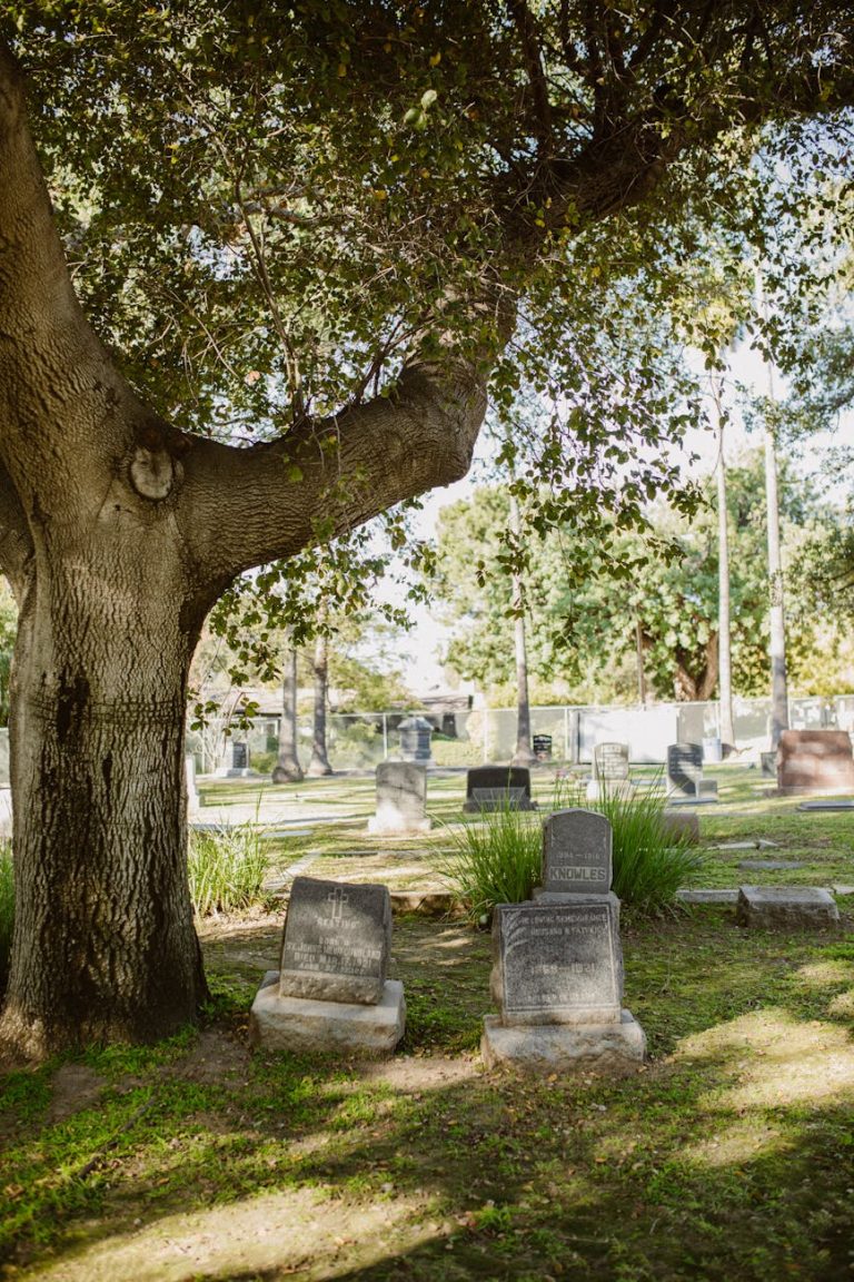 How to Save on Funeral Plots Cost