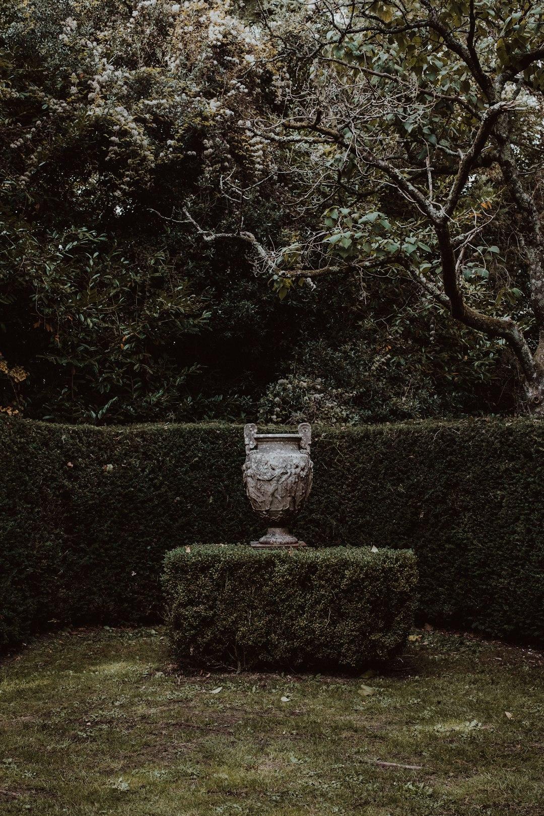 The Essential Guide to Eco-Friendly Urns for Ashes