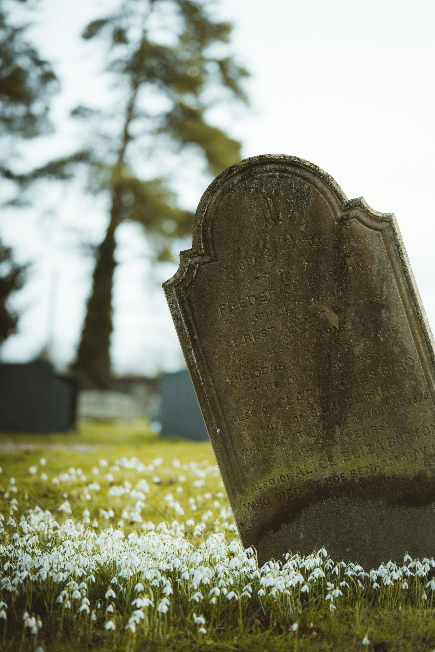 tombstone 2026