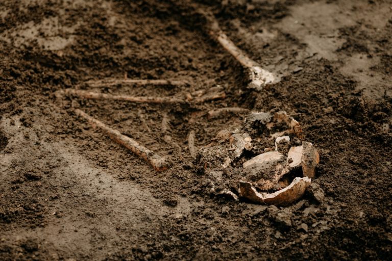 The Sacred Tradition of Burying Ashes: Customs and Practices