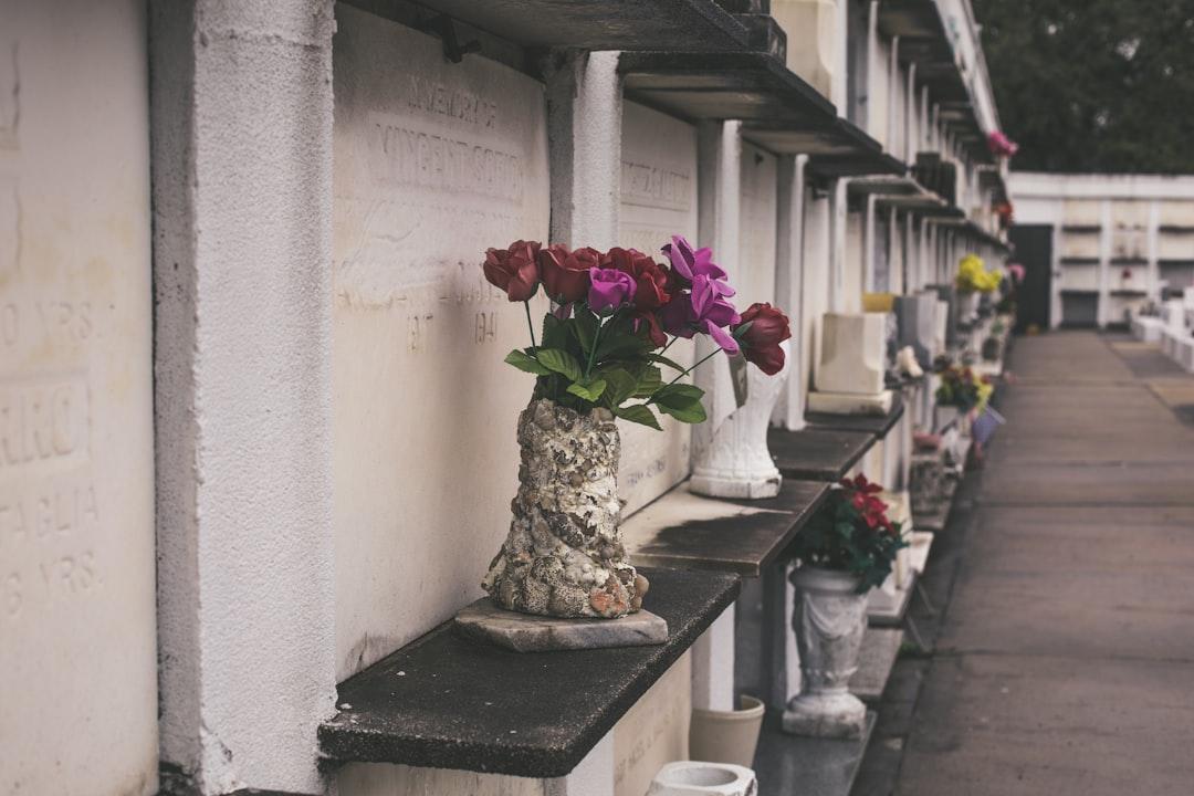 The Tradition of Placing Grave Roses: A Beautiful Gesture of Remembrance