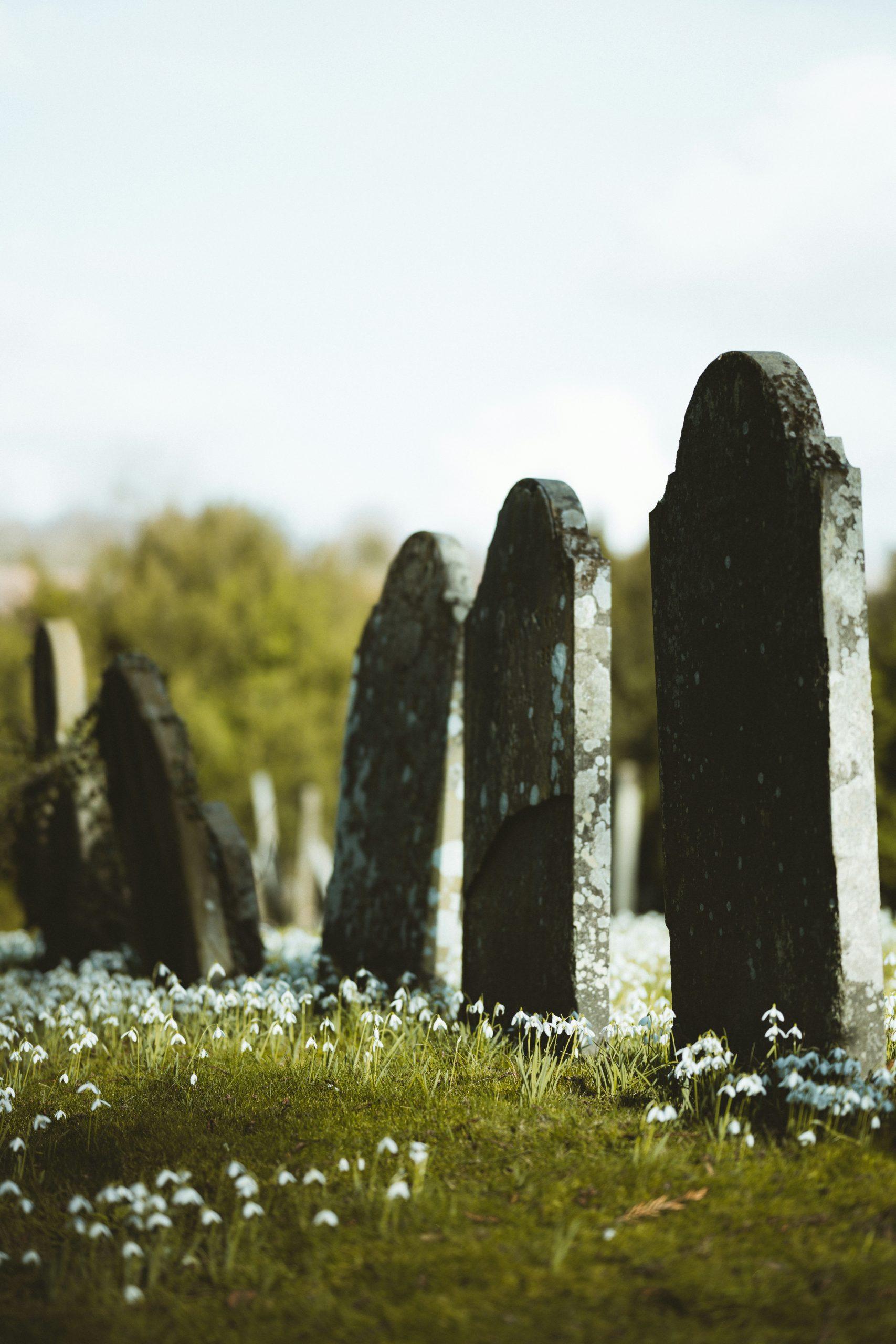 tips for burial plot