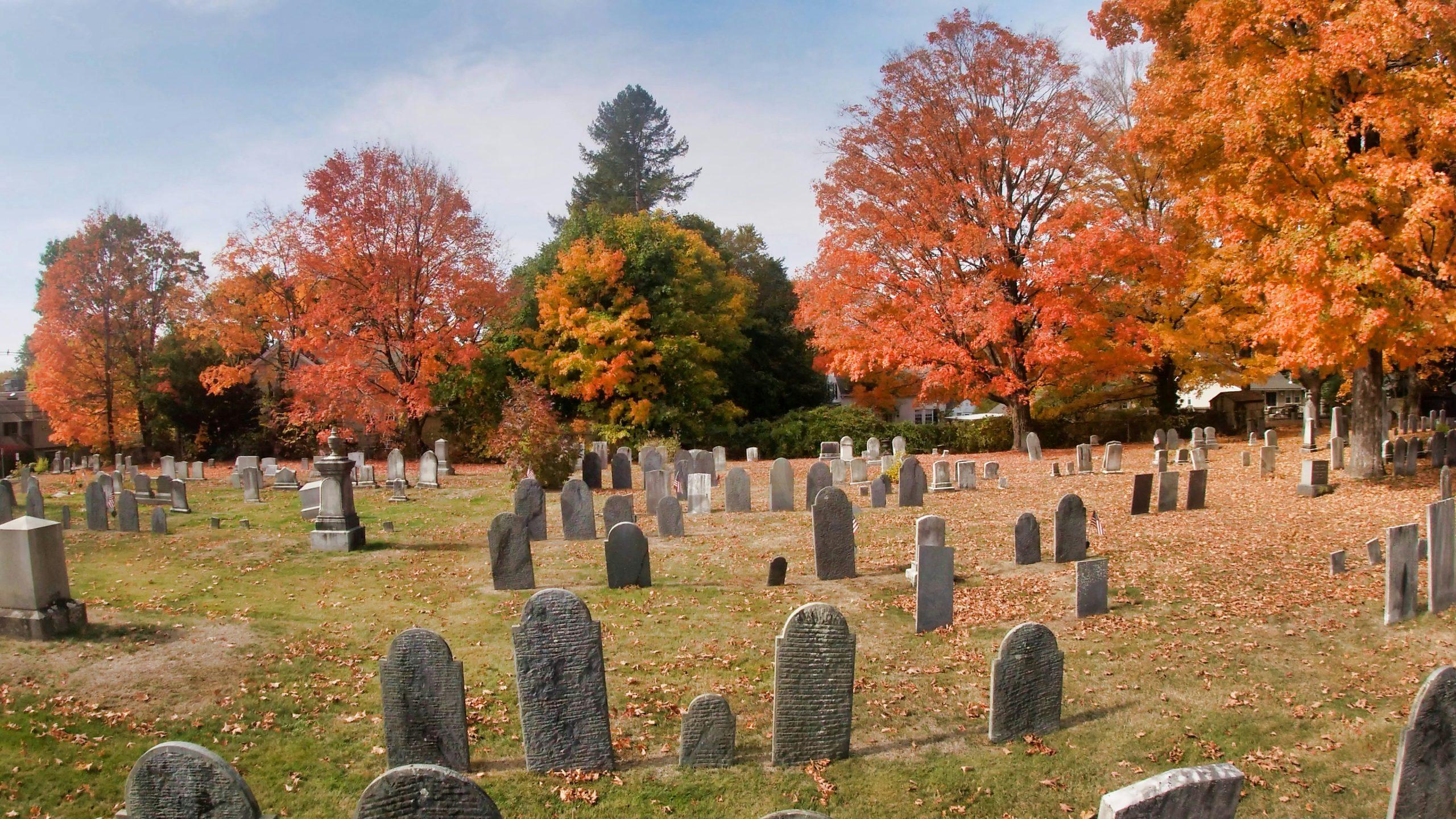 affordable burial plot