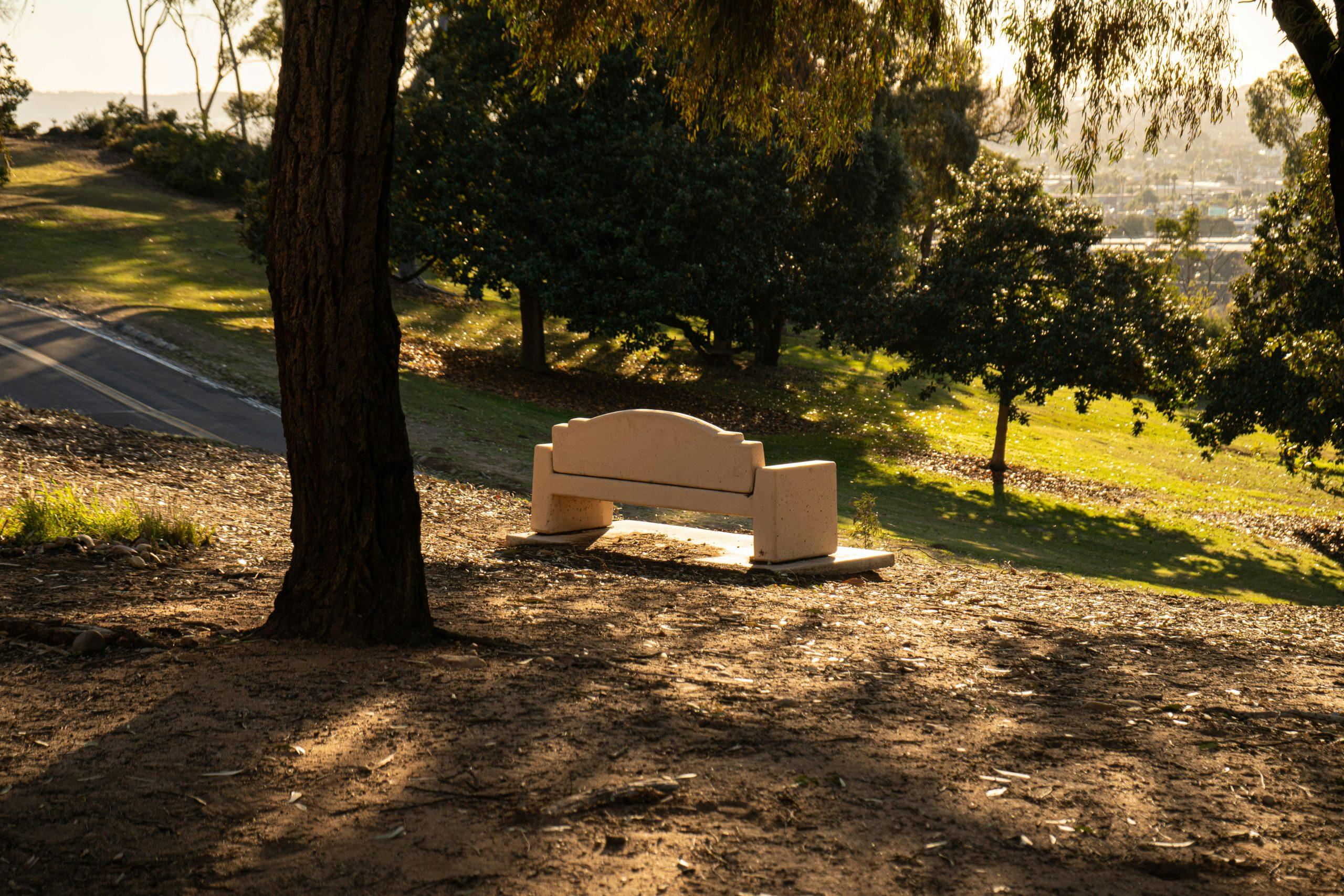 affordable burial plot