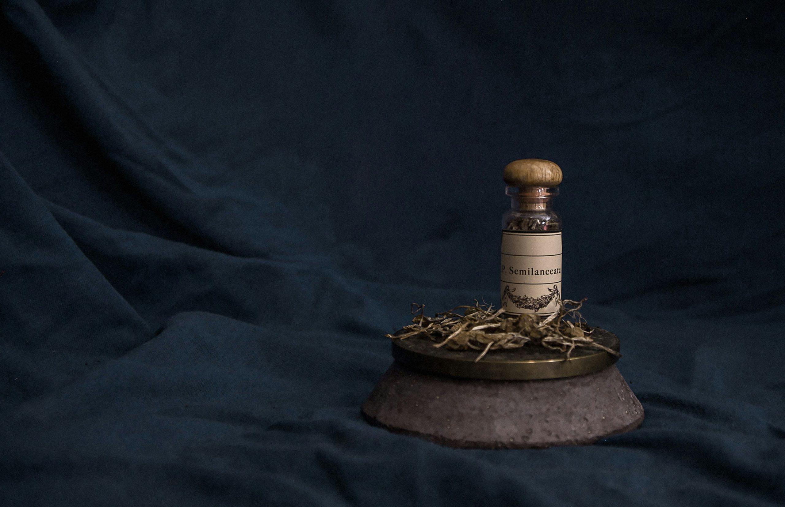 salt urn
