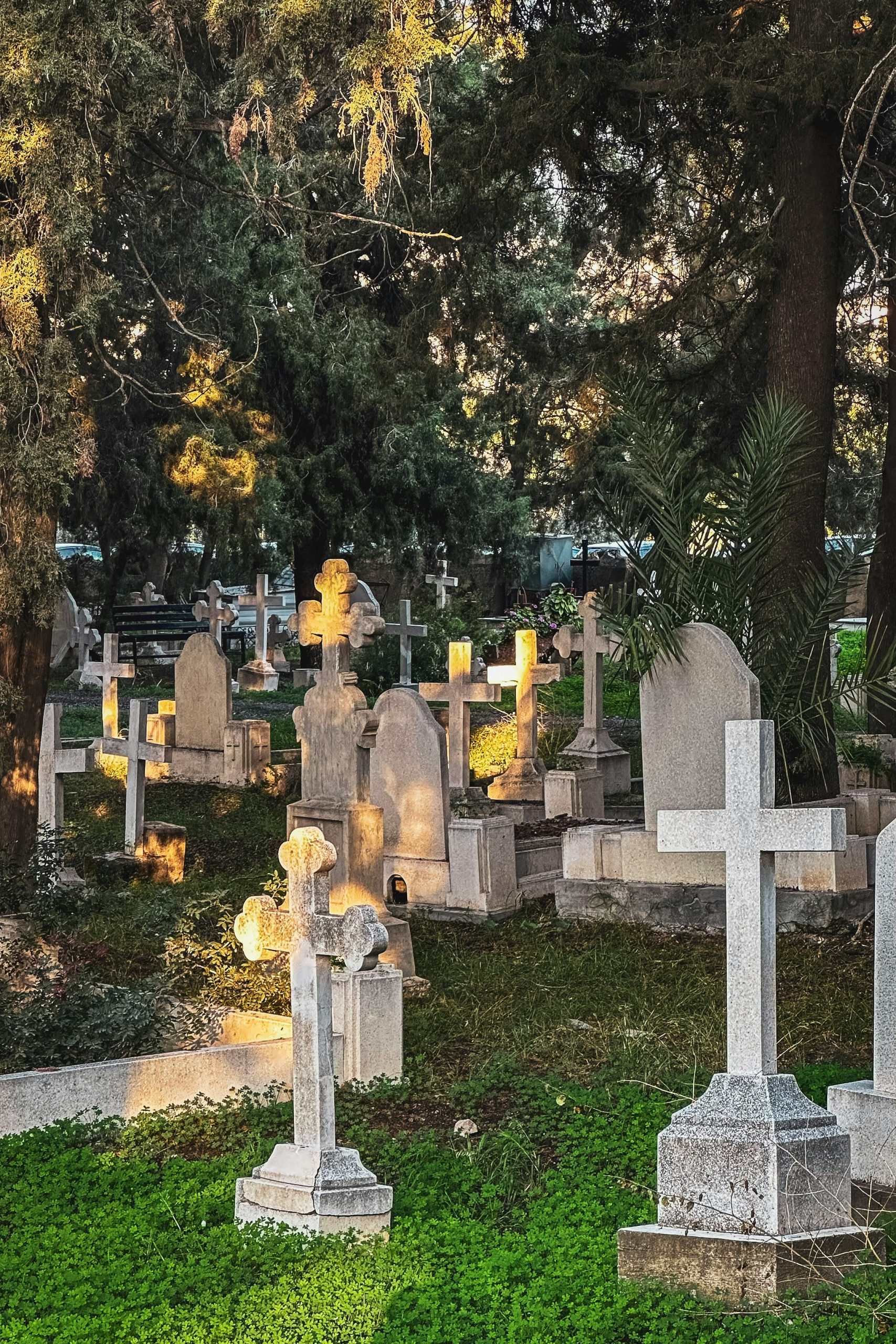 burial plot cost burial plot cost