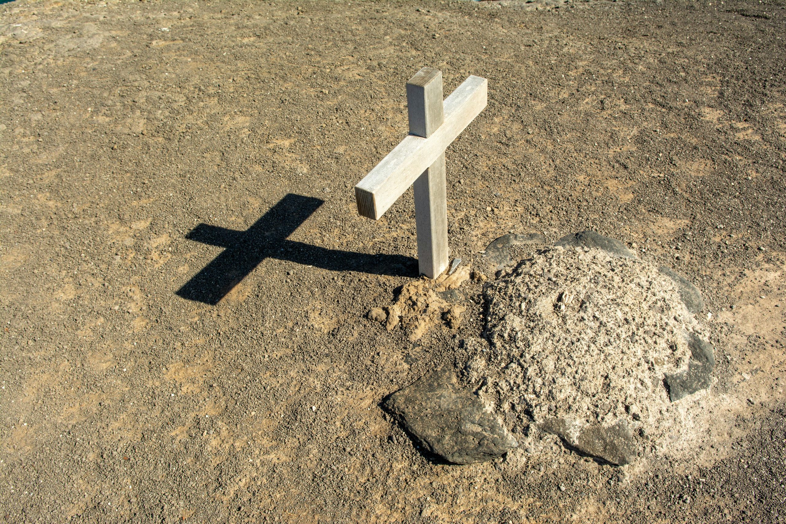 burial plot cost burial plot cost