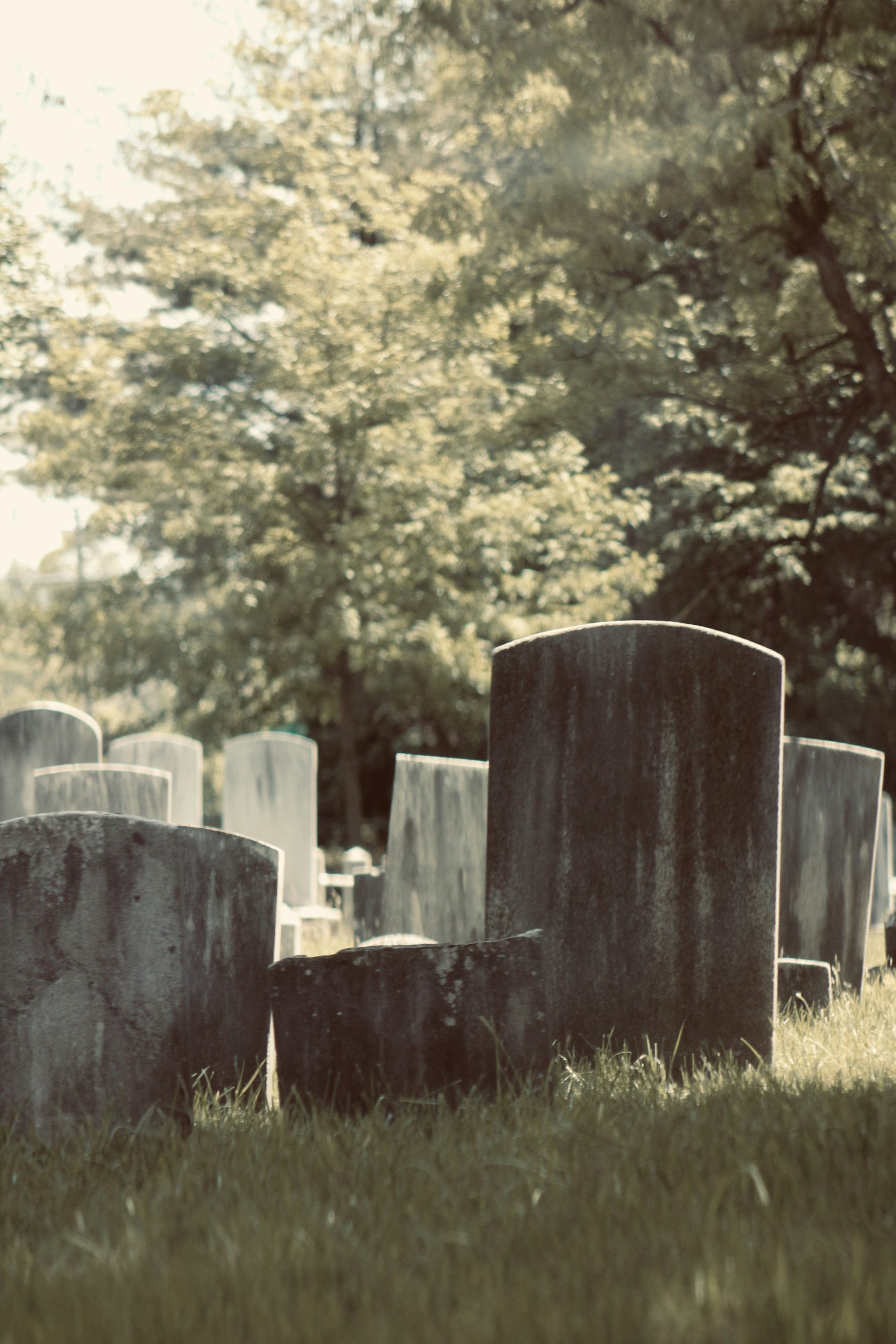 cemetery plot price by state 2026