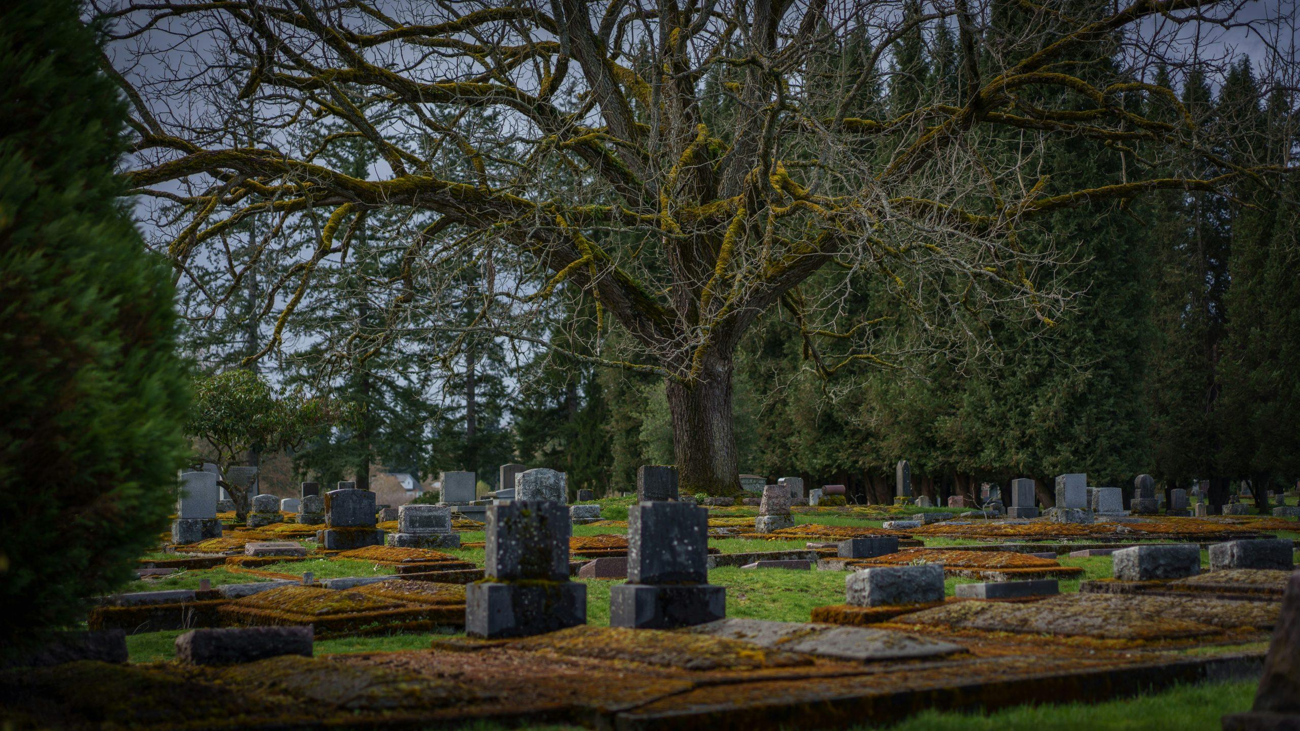 Grave Plot Cost Guide 2026