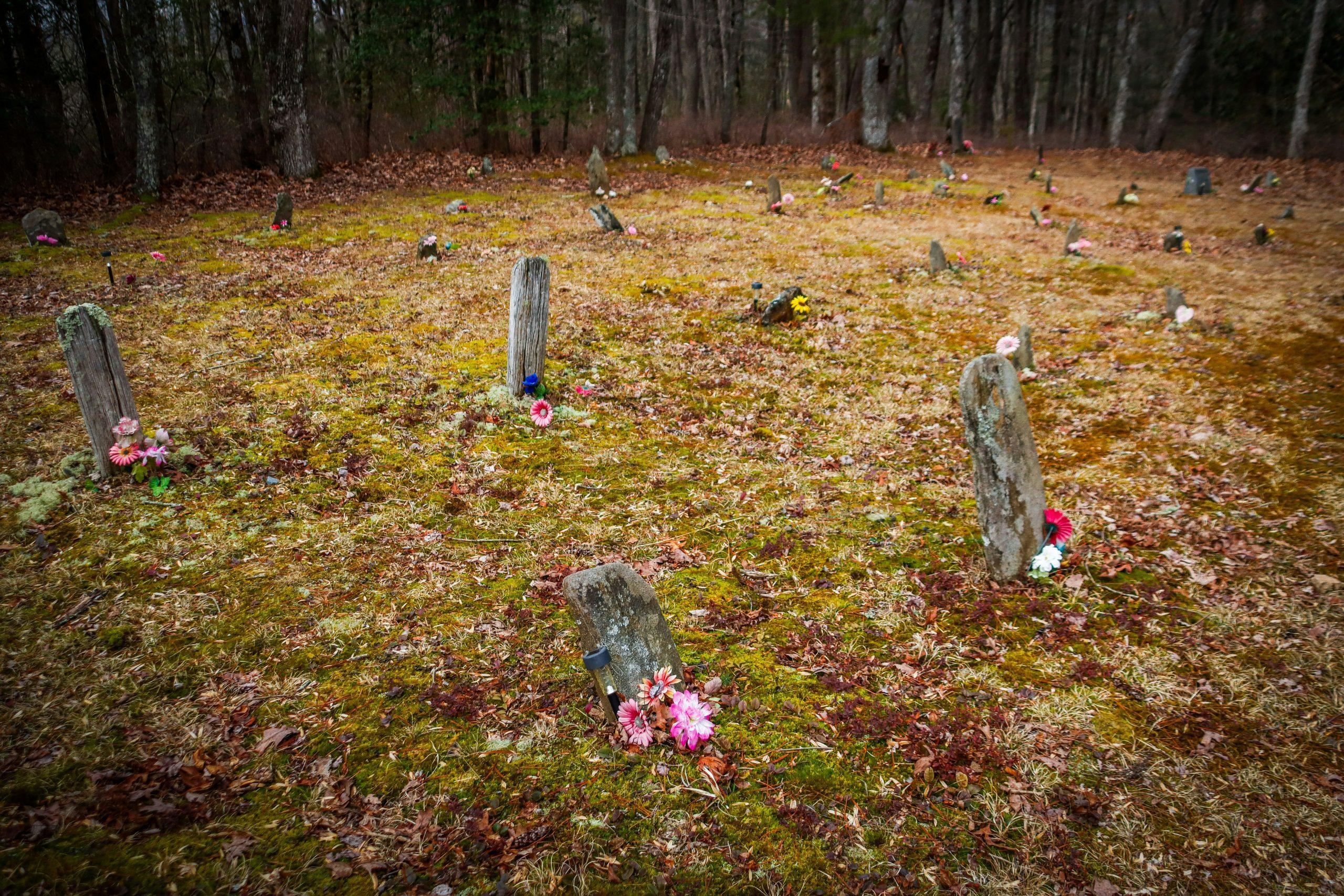 Grave Plot Cost Guide 2026
