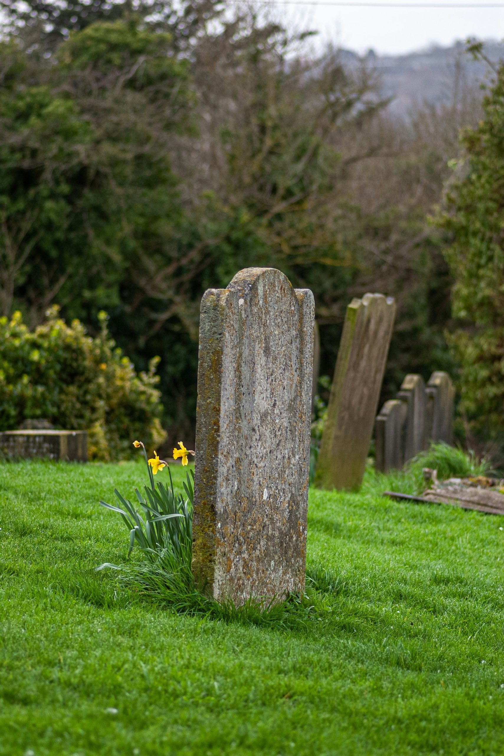 double headstone cost 2026
