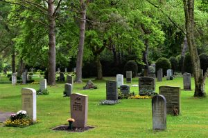 The Emotional Impact of Grave Roses in 2026 Funerals