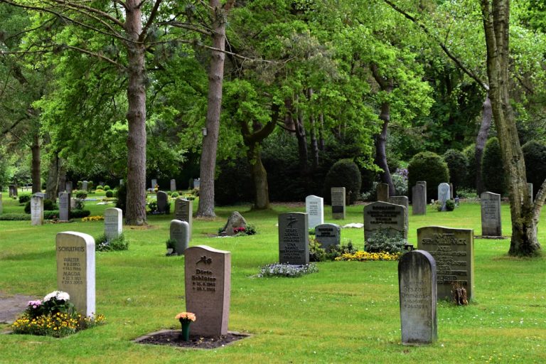 The Emotional Impact of Grave Roses in 2026 Funerals