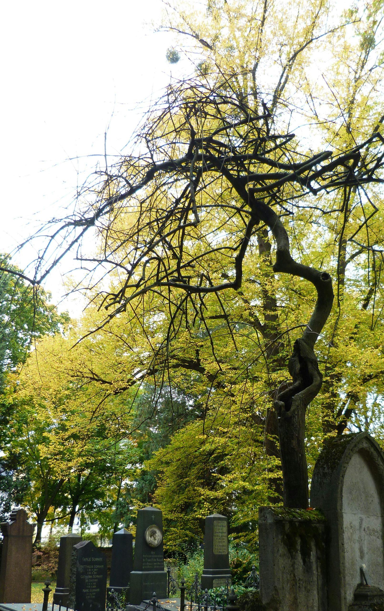 grave plot cost London 2026