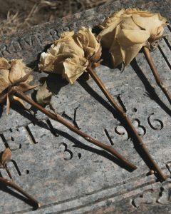 Why Grave Roses Will Remain Popular in 2026