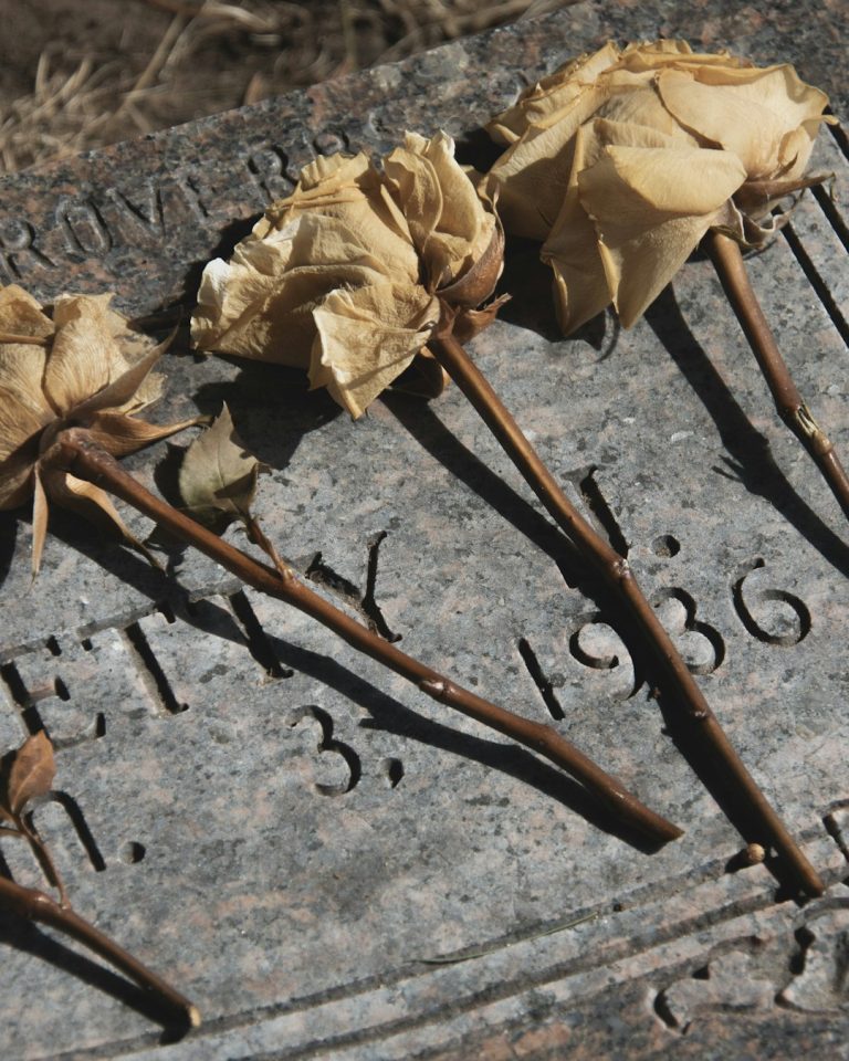 Why Grave Roses Will Remain Popular in 2026